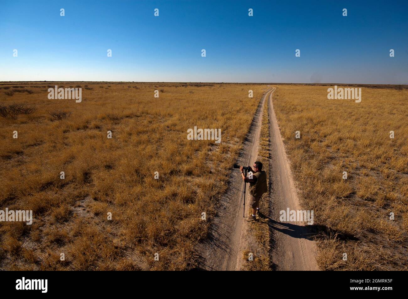 Safari im Central Kalahari Game Reserve, Botswana Stockfoto