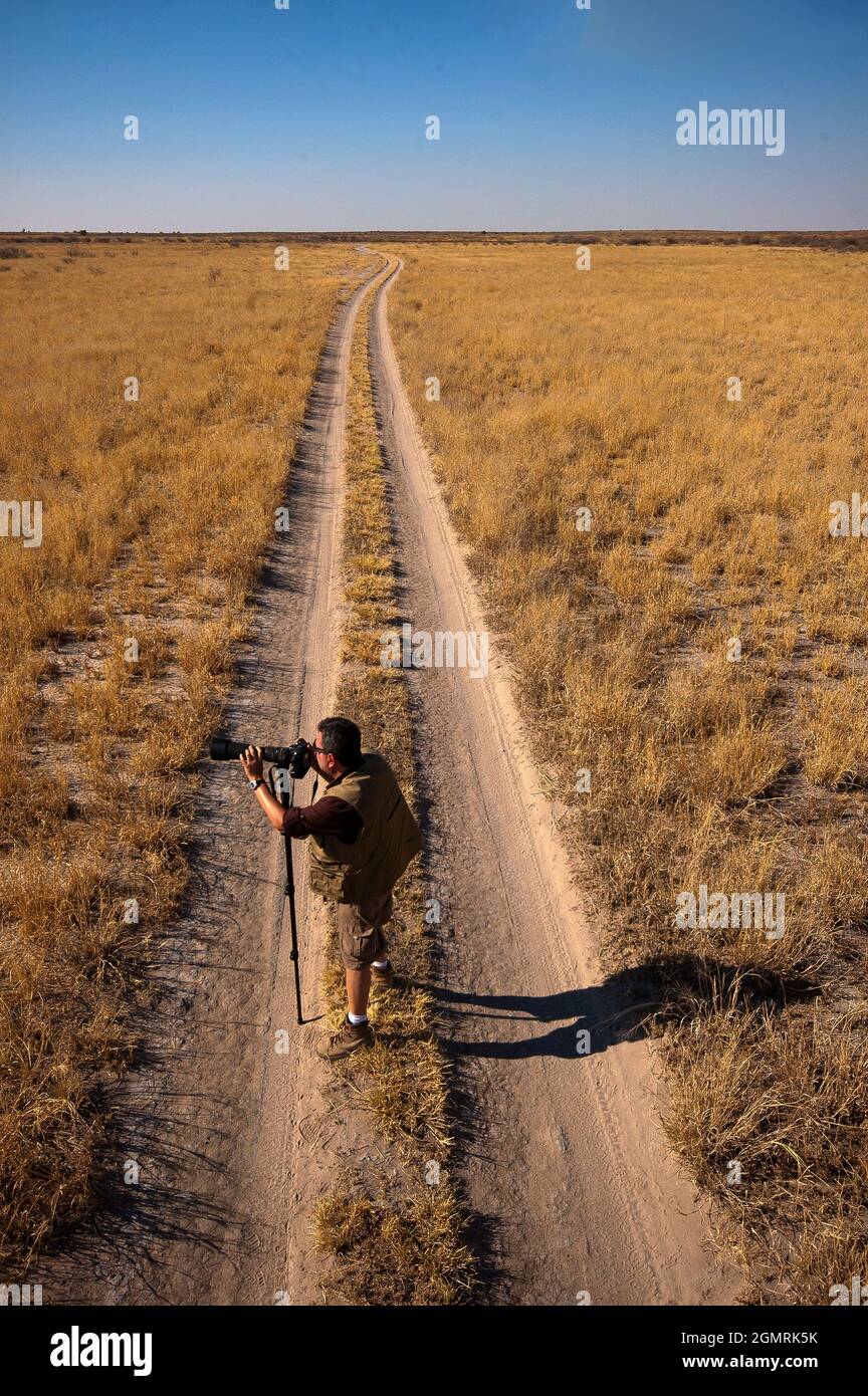 Safari im Central Kalahari Game Reserve, Botswana Stockfoto