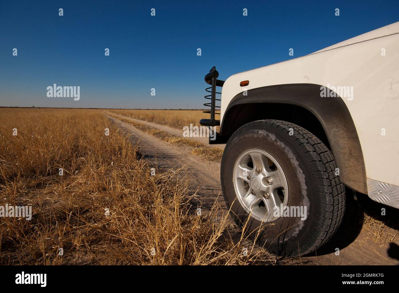 Safari im Central Kalahari Game Reserve, Botswana Stockfoto
