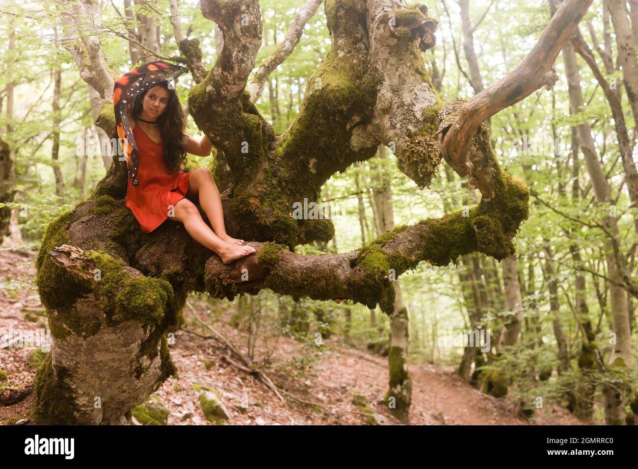 Samahin Natur Wald Dryade Mythologie Ursprung zu Halloween von celtics . eine Fee custome Legende Stockfoto