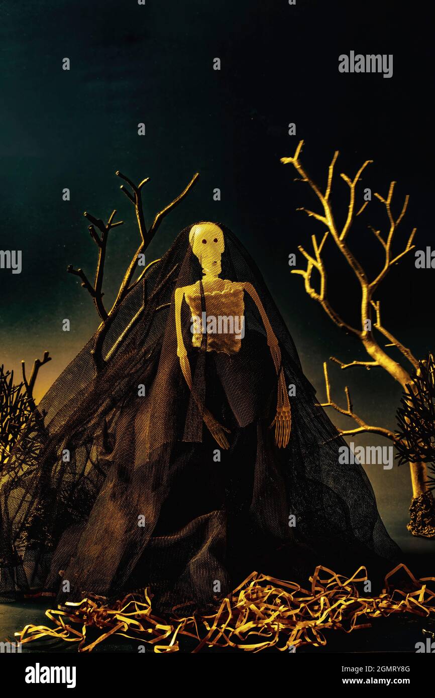 Gruselige Skelett-Braut mit schwarzem Hochzeitskleid und Schleier, die in der dunklen Nacht auf dem Friedhof steht. Halloween-Konzept. Stockfoto