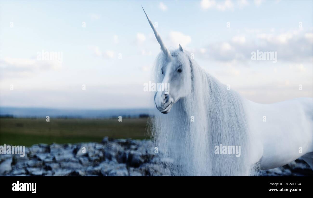 Einhorn Mythos Stockfotos und -bilder Kaufen - Alamy