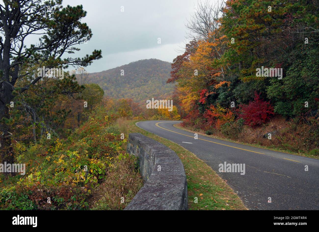 Kurvige Bergstraße im Herbst durch Wald Stockfoto