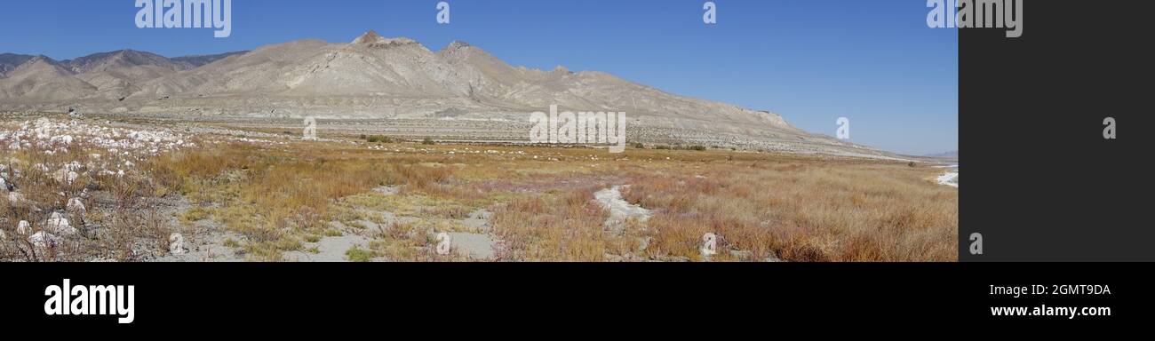 Hawthorne NV Alkali-Seengebiet Stockfoto