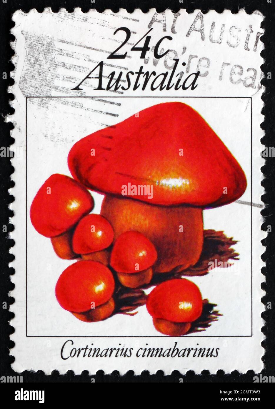 AUSTRALIEN - UM 1981: Eine in Australien gedruckte Briefmarke zeigt Cortinarius Cinnabarinus, Pilz, um 1981 Stockfoto