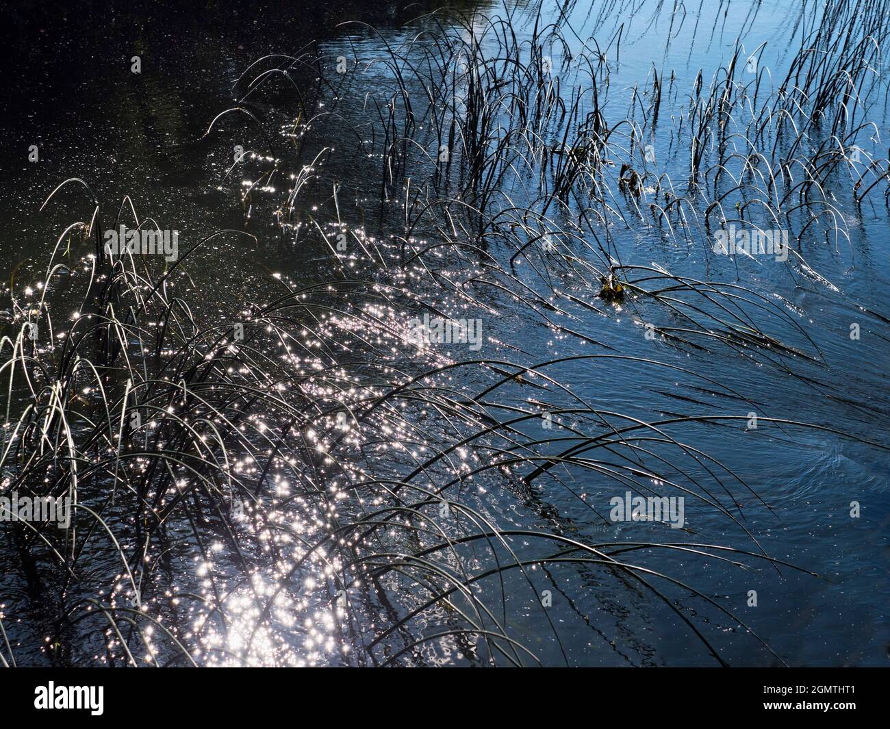 Abingdon, England - 20. Mai 2020 ein abstraktes Bild von Wasserresten und Reflexionen in Abbey Stream, einem kleinen, aber schönen Nebenfluss der Themse von ab Stockfoto