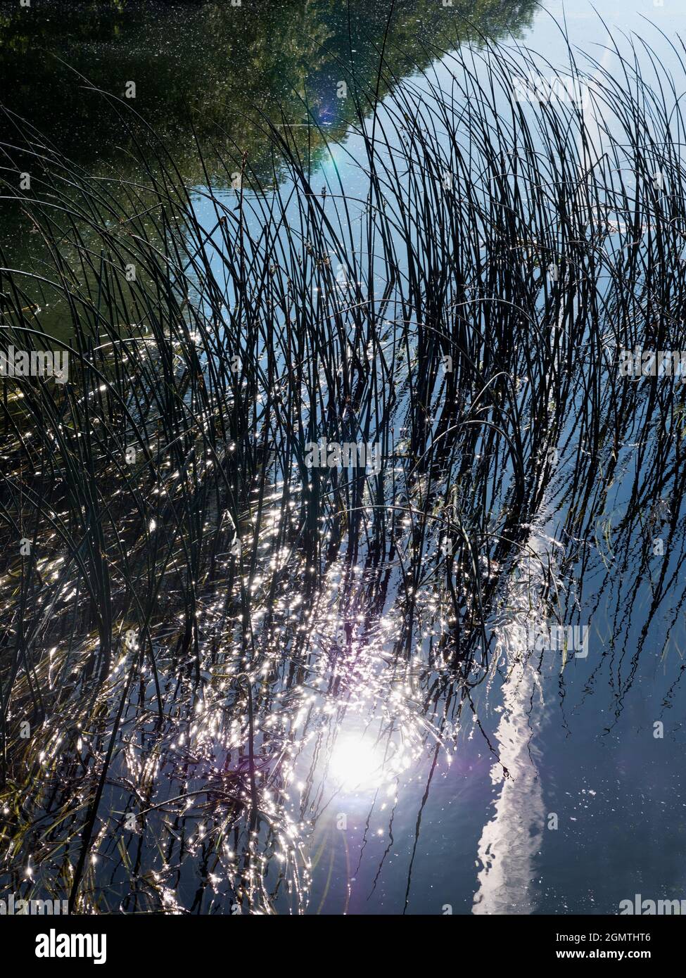 Abingdon, England - 20. Mai 2020 ein abstraktes Bild von Wasserresten und Reflexionen in Abbey Stream, einem kleinen, aber schönen Nebenfluss der Themse von ab Stockfoto