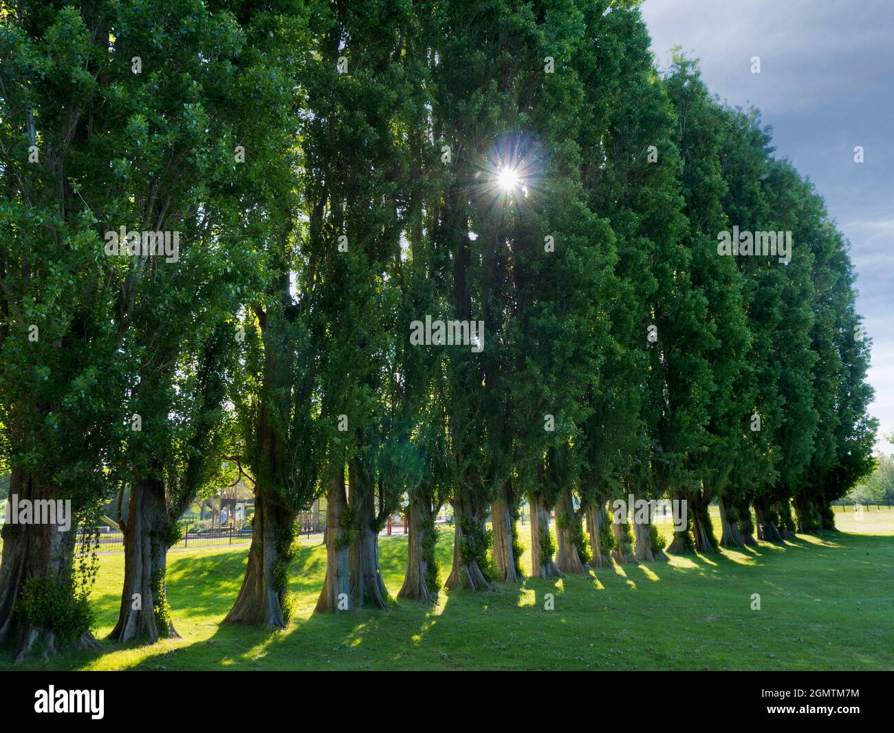 Abingdon, England - 20. Mai 2020; Keine Menschen in Schuss. Abbey Fields ist ein öffentlicher Park neben der Themse in Abingdon, Oxfordshire. Es braucht seine Stockfoto