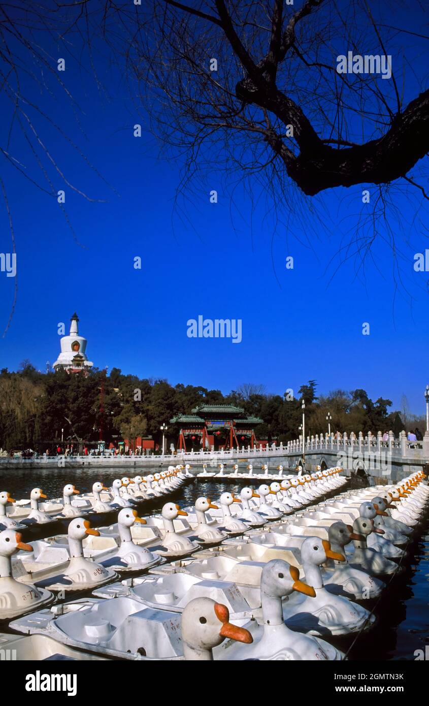 Peking China - 12. Oktober 1982 der Behai Park ist ein bekannter Ort der Freizeit und Erholung im Nordwesten der Verbotenen Stadt Pekings. Sein See ist p Stockfoto