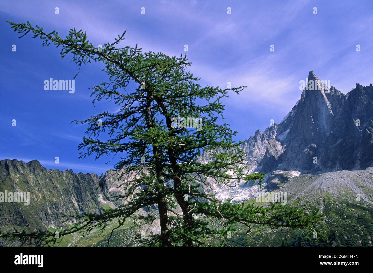 Die französischen Alpen - 7. September 2003; der Grandes Jorasses (4,208 m) ist ein Berg an der Grenze zwischen Haute-Savoie in Frankreich und dem Aostatal in ihm Stockfoto