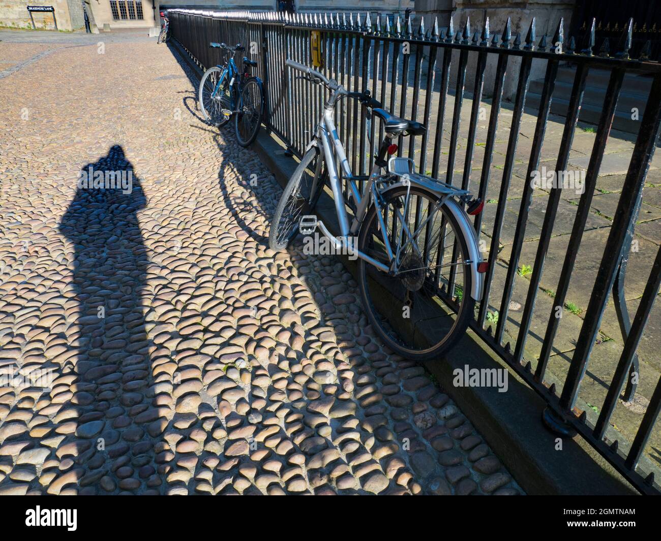 Oxford, England - Januar 18 2020; der Radcliffe Square liegt im Herzen des historischen Oxford. Es beherbergt viele ikonische Gebäude, darunter die Radcliffe Cam Stockfoto