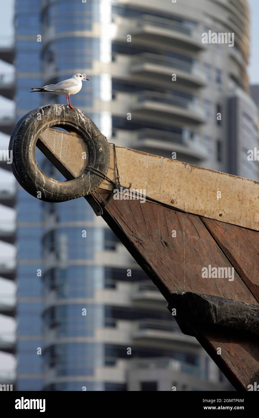 Dubai, Vereinigte Arabische Emirate - Februar 2008; Dubai Creek ist ein Salzwasser-Streatc aus Wasser in Dubai, Vereinigte Arabische Emirate. Als Teil des neuen D Stockfoto