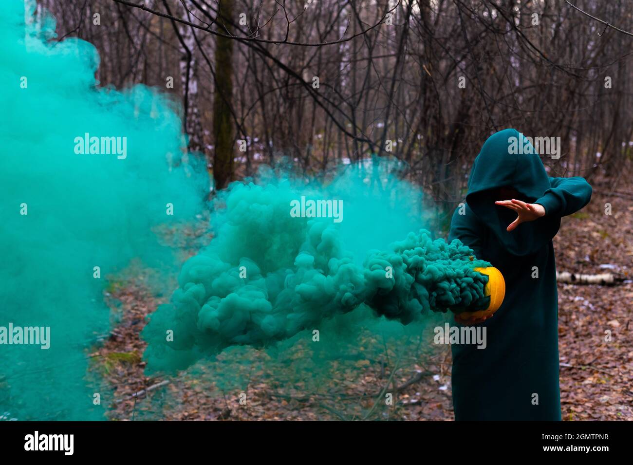 Eine gruselige Hexe hält einen dampfenden Kürbis in einen tiefen Wald. Jack o Laterne mit grünem Rauch für halloween Stockfoto