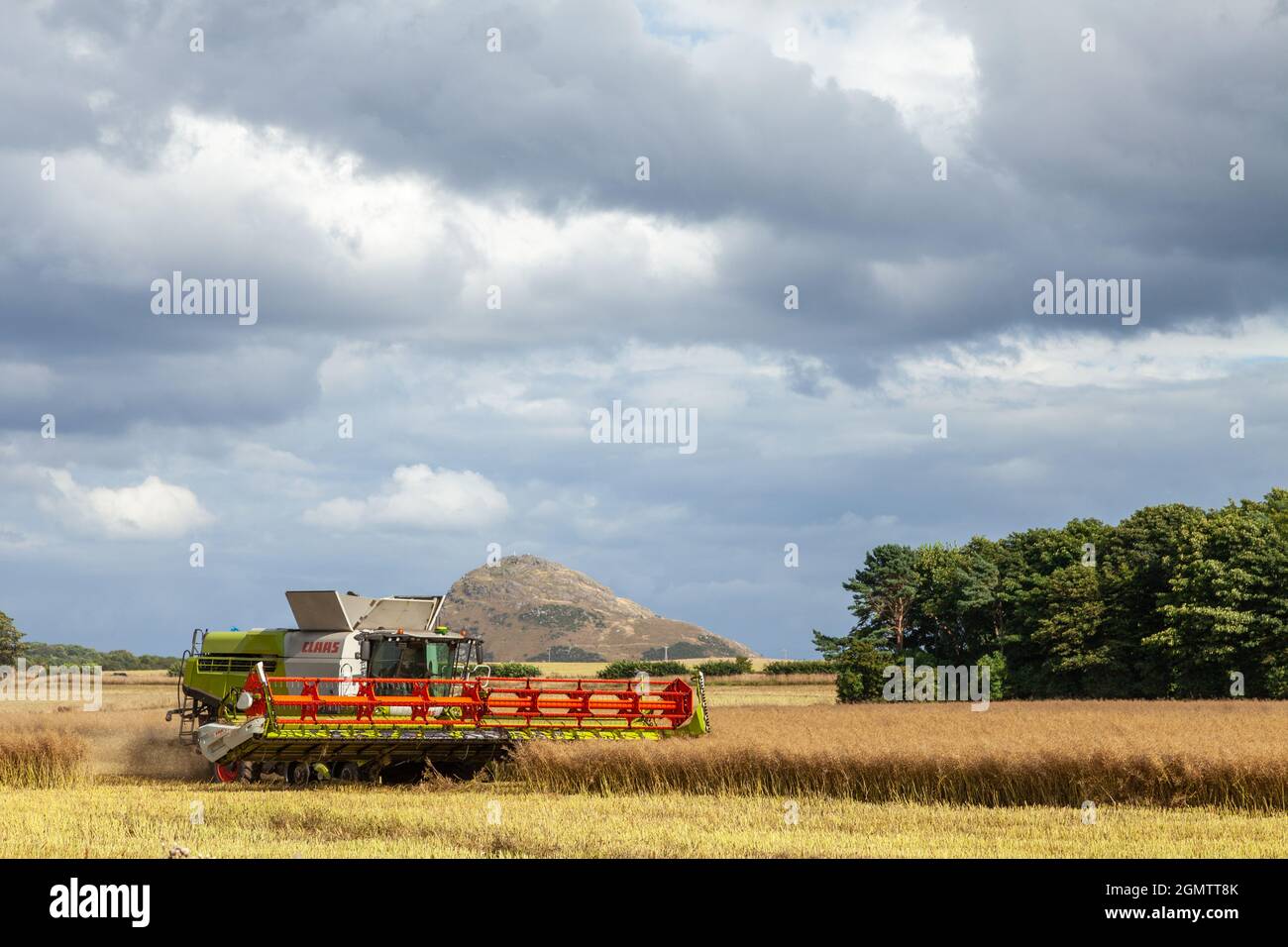 Mähdrescher auf dem Feld in der Nähe von North Berwick, East Lothian Stockfoto