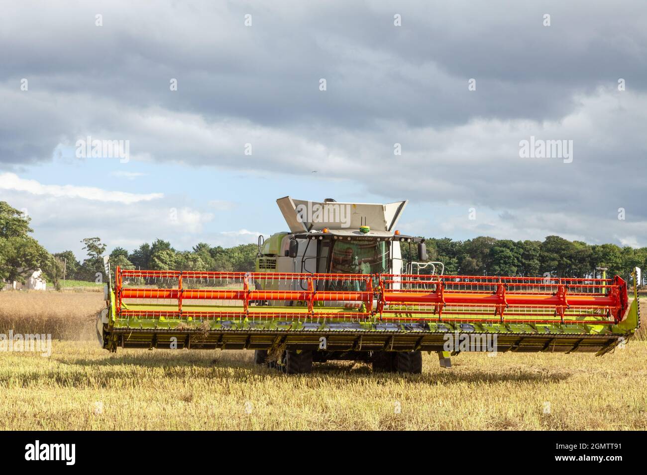 Mähdrescher auf dem Feld in der Nähe von North Berwick, East Lothian Stockfoto