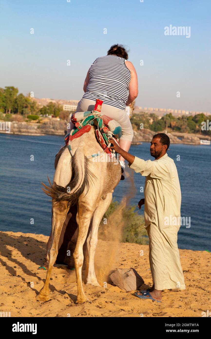 Assuan, Ägypten - 3. Dezember 2012 Was könnte eigentlich schief gehen? Eine fette Frau und ein Kamel ist wirklich eine prekäre Situation, so ziemlich alles c Stockfoto