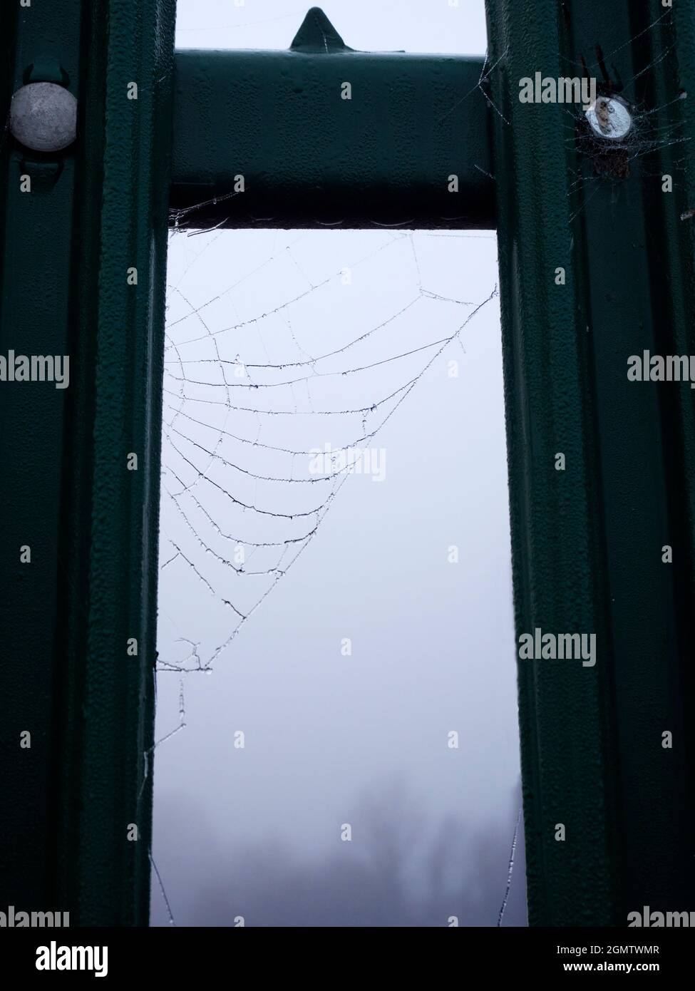 Radley Village, Oxfordshire, England - 26. November 2020; Keine Menschen in Schuss. Man muss früh aufstehen, um diesen Schuss zu bekommen - die Spinne am frühen Morgen Stockfoto