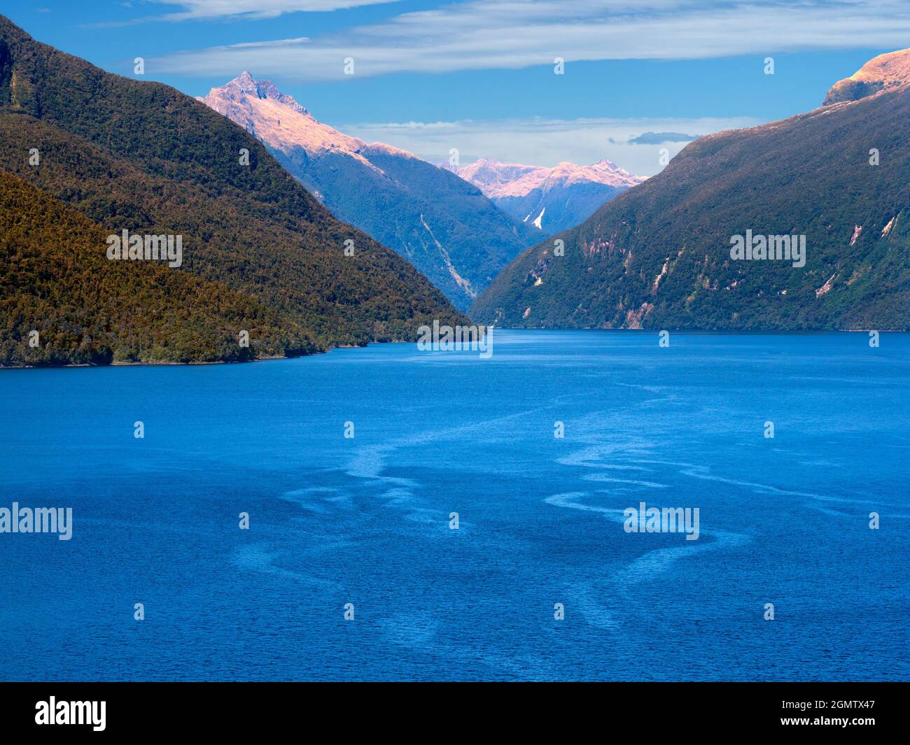 Fiordland, Neuseeland - 25. Februar 2019; Doubtful Sound ist ein herrlicher Fjord des gleichnamigen Fjords im Westen von Neuseeland Stockfoto
