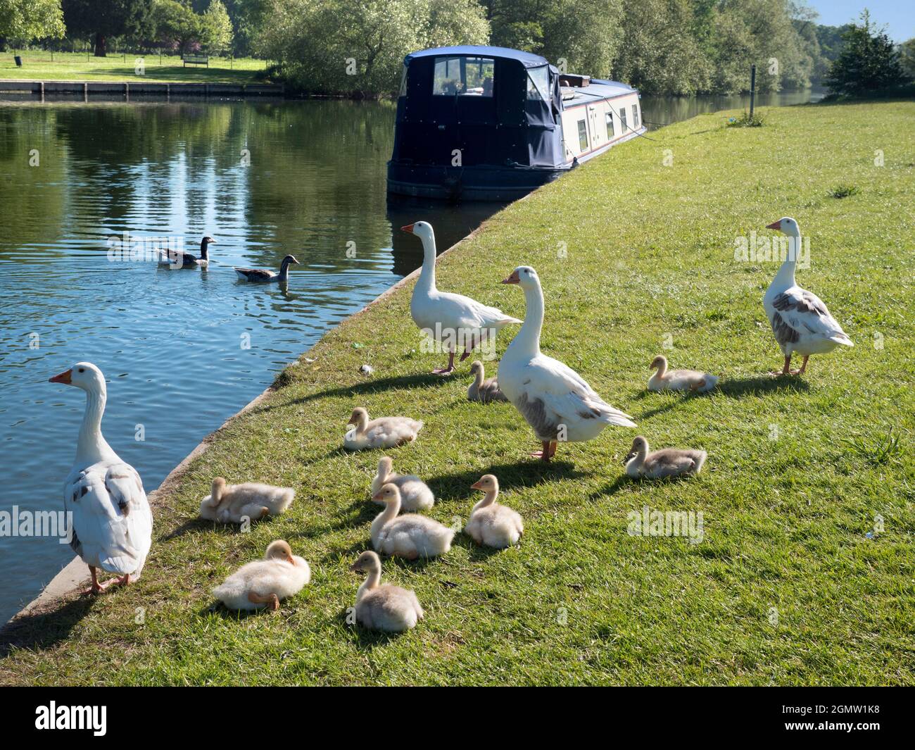 Abingdon, England - 20. Mai 2020; keine Menschen im Blick. Abingdon-on-Thames behauptet, die älteste Stadt in England zu sein. Hier sehen wir den Blick von der Themse Stockfoto