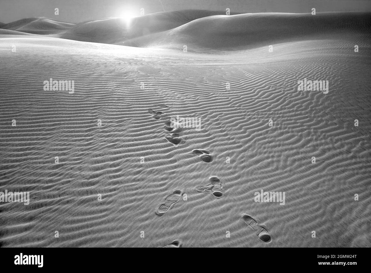 Dubai, Vereinigte Arabische Emirate - 6. Februar 2008 der lebhafte Sand der Wüsten außerhalb von Dubai, Vereinigte Arabische Emirate, bietet eine wilde Schönheit. Leider U Stockfoto