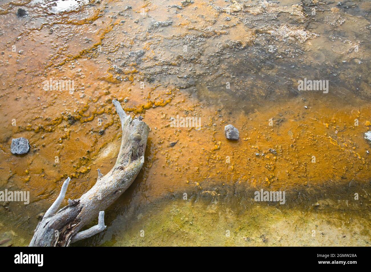 Yellowstone, Wyoming USA - Mai 2008; weithin als der erste Nationalpark der Welt anerkannt, erstreckt sich Yellowstone von Teilen von Wyoming bis nach Montana Stockfoto