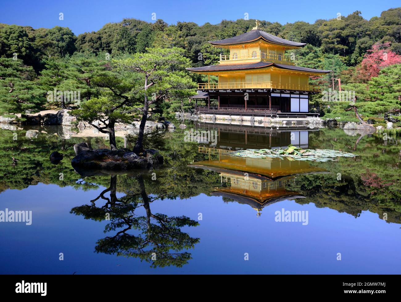 Kyoto, Japan - 2. November 2011 Kinkaku-ji, der Tempel des Goldenen Pavillons ist ein sehr geliebter Zen-buddhistischer Tempel in Kyoto. Inmitten eines atemberaubenden, von Menschen geschafften Stockfoto