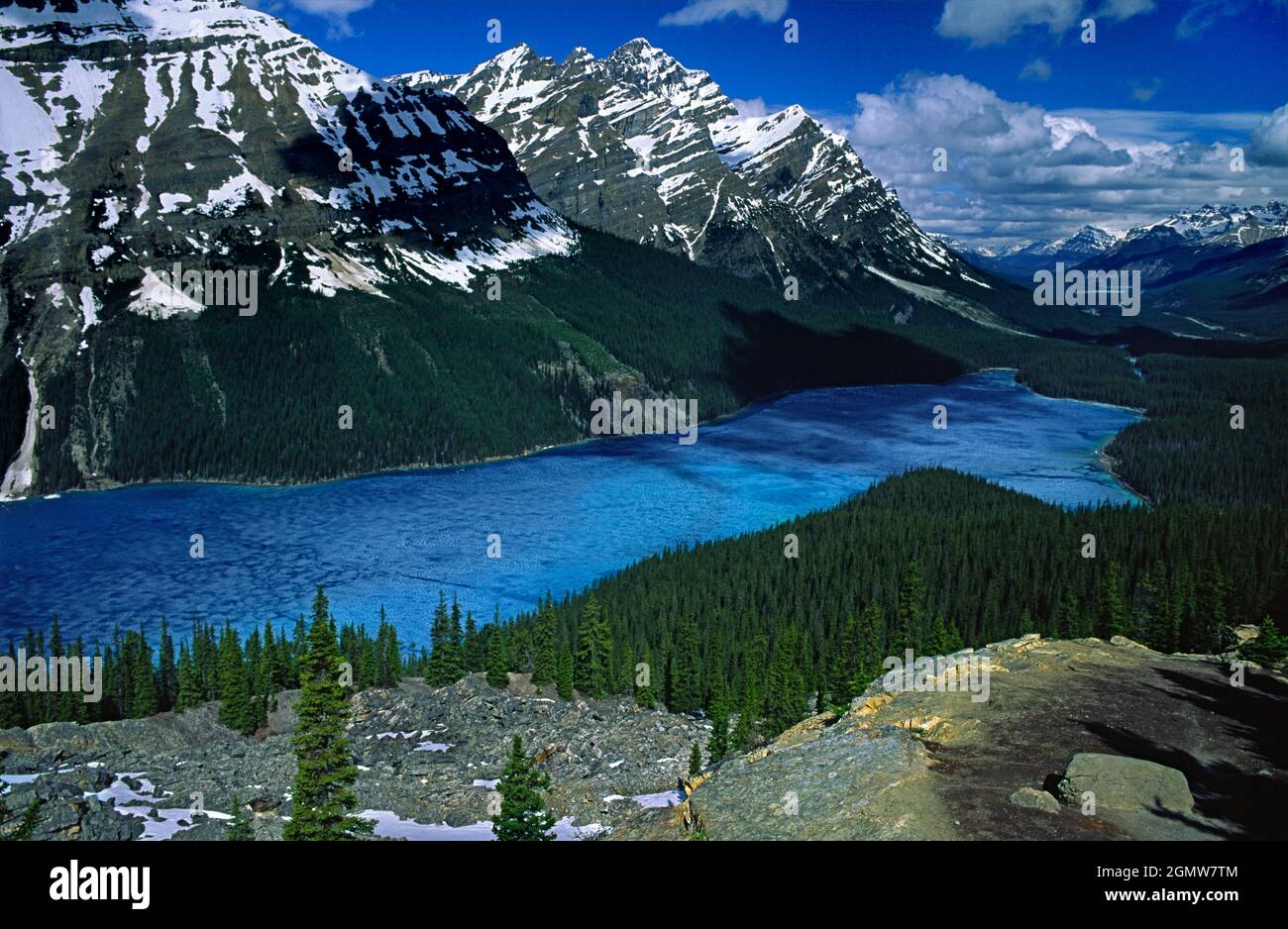 Lake Peyto, Kanada - Mai 2010Peyto Lake vom Bow Summit aus gesehen. Dieser wunderschöne See ist gletschergespeist, was seine lebendige blaue Farbe erklärt. Peyto Lake. Stockfoto