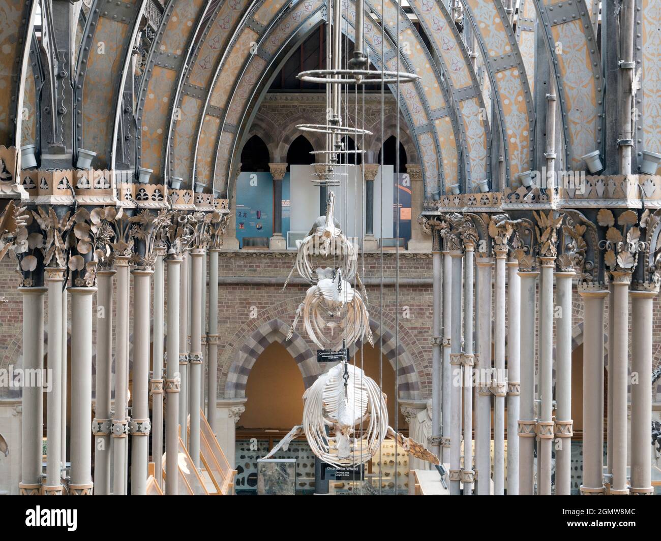 Oxford, England - 2014; das Pitt-Museum ist ein Museum, das die archäologischen und anthropologischen Sammlungen der Universität Oxford zeigt. Stockfoto