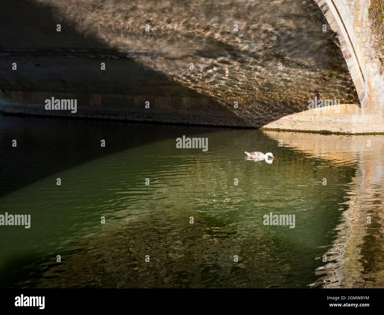 Abingdon, England - 20. Mai 2020; keine Menschen im Blick. Abingdon behauptet, die älteste Stadt in England zu sein. Dies ist seine berühmte mittelalterliche Steinbrücke, ON Stockfoto