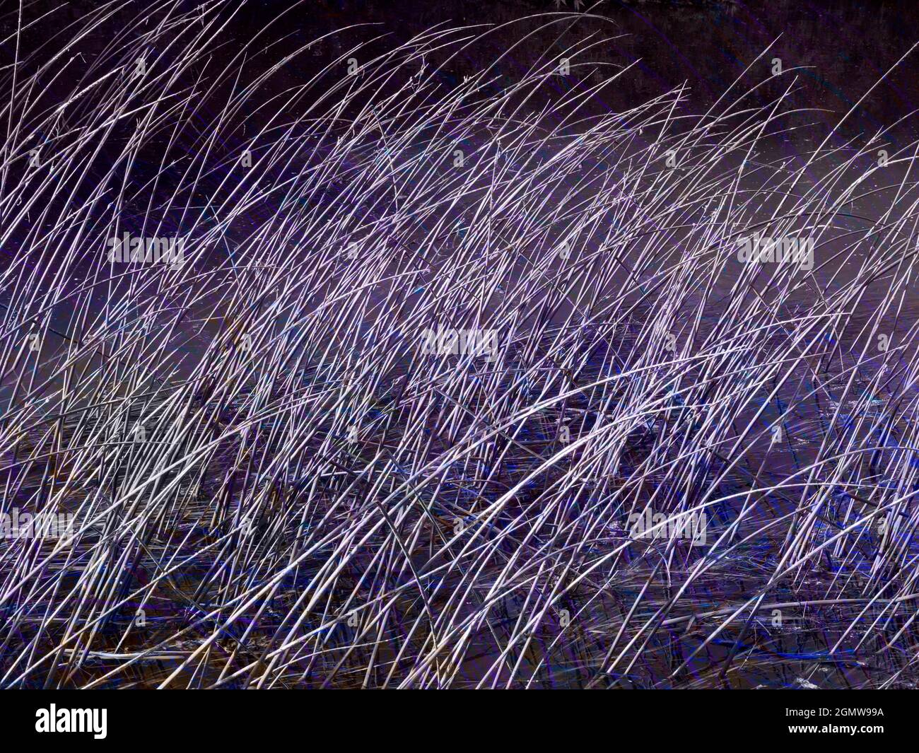 Abingdon, England - 20. Mai 2020 ein abstraktes Bild von Wasserresten und Reflexionen in Abbey Stream, einem kleinen, aber schönen Nebenfluss der Themse von ab Stockfoto