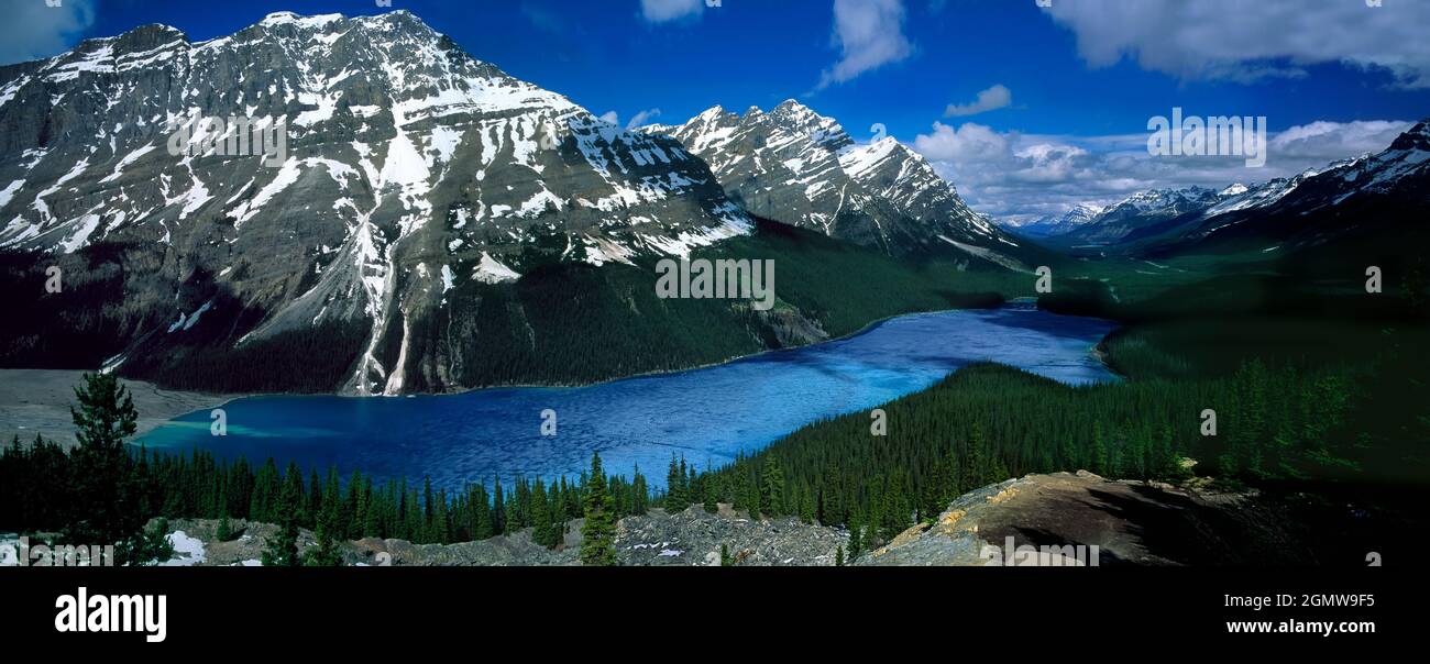 Lake Peyto, Kanada - Mai 2010Peyto Lake vom Bow Summit aus gesehen. Dieser wunderschöne See ist gletschergespeist, was seine lebendige blaue Farbe erklärt. Peyto Lake. Stockfoto