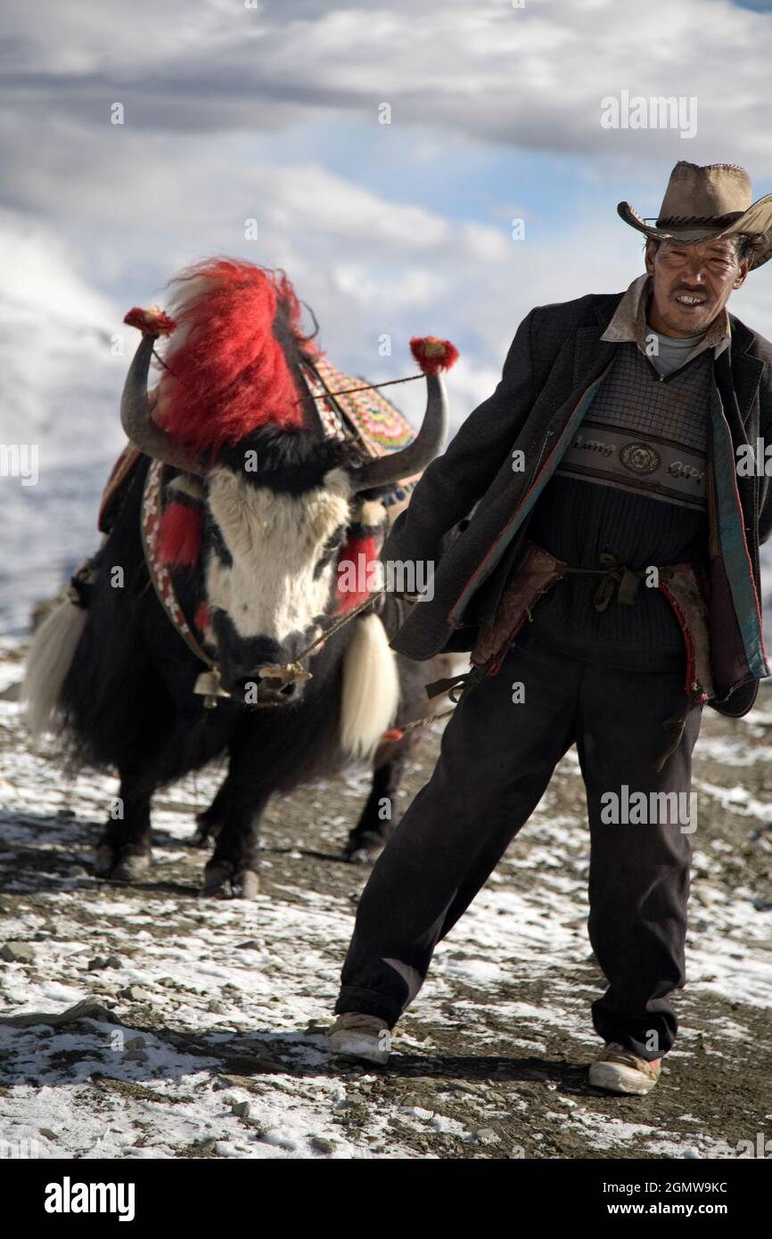 Kkambala, Tibet - 22. Oktober 2006; ein Mann im Blick. Der Khamba La Pass ist fast 5000m hoch, der höchste, den ich je gesehen habe - außer in einem Flugzeug! Stockfoto