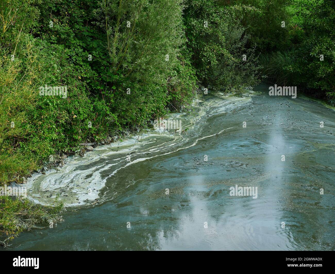 Blaue algen Fotos und Bildmaterial in hoher Auflösung Alamy