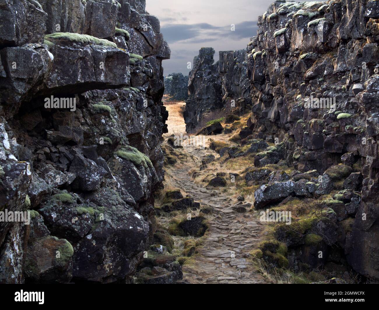 Nordamerika kollidiert mit Eurasien, als sich die tektonische Platte im Pingvellir National Park, Island, trifft und zusammenreibt. Nicht nur ein geologisches Wunder, dieses n Stockfoto