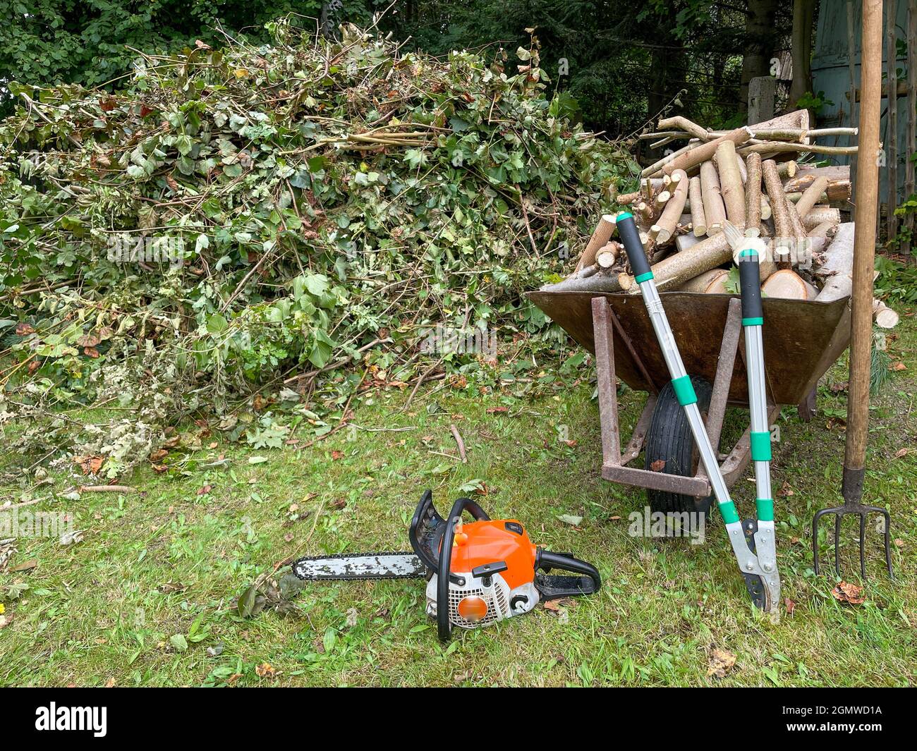 Im Garten werden Holzschnitte geschnitten Stockfoto