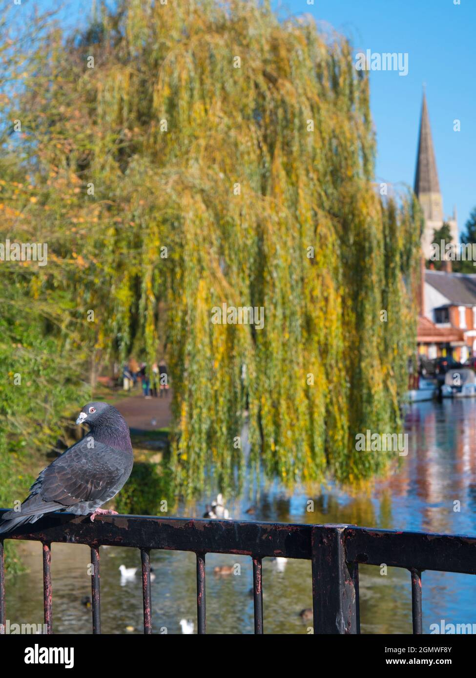 St Helens Wharf, Abingdon, England - 10. November 2019 Saint Helens ...