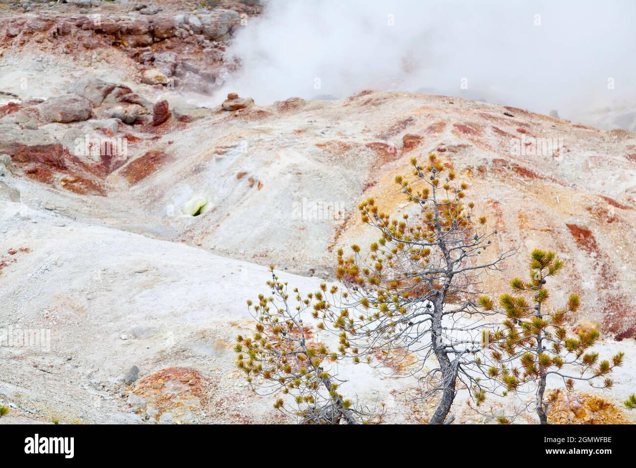 Yellowstone, Wyoming USA - Mai 2008; weithin als der erste Nationalpark der Welt anerkannt, erstreckt sich Yellowstone von Teilen von Wyoming bis nach Montana Stockfoto