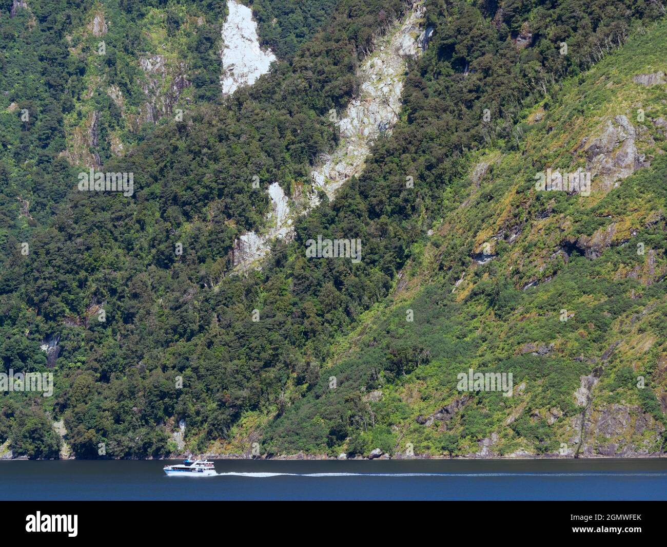 Fiordland, Neuseeland - 25. Februar 2019; Doubtful Sound ist ein herrlicher Fjord des gleichnamigen Fjords im Westen von Neuseeland Stockfoto