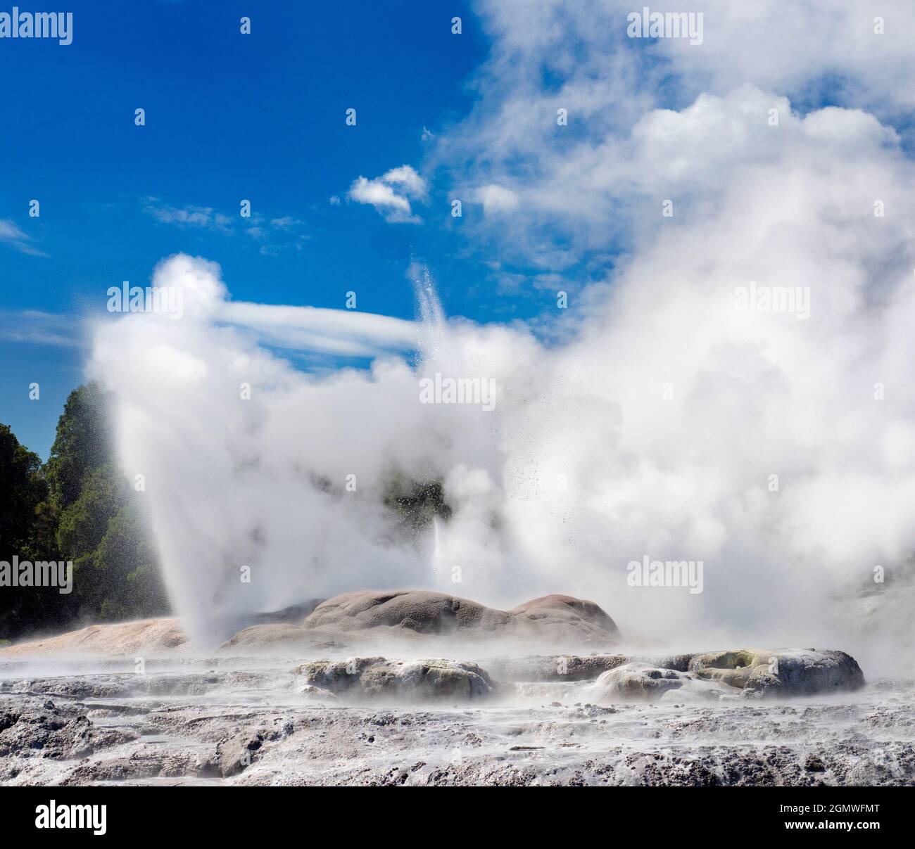 Rotorua, Neuseeland - 1. März 2019; das Waiotapu Thermal Area in Rotorua, der neuseeländischen Nordinsel, ist ein ausgedehntes Gebiet mit geothermischen Quellen, Stockfoto