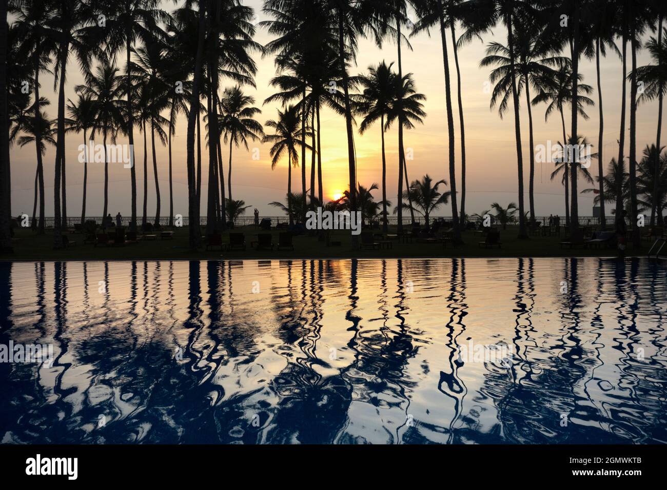 Sri Lanka - 16. Februar 2013 tropische Idylle bei Sonnenuntergang, Sri Lanka. Eine Palmenreihe zwischen einem Swimmingpool und dem Indischen Ozean. Und warum sollte irgendjemand Stockfoto