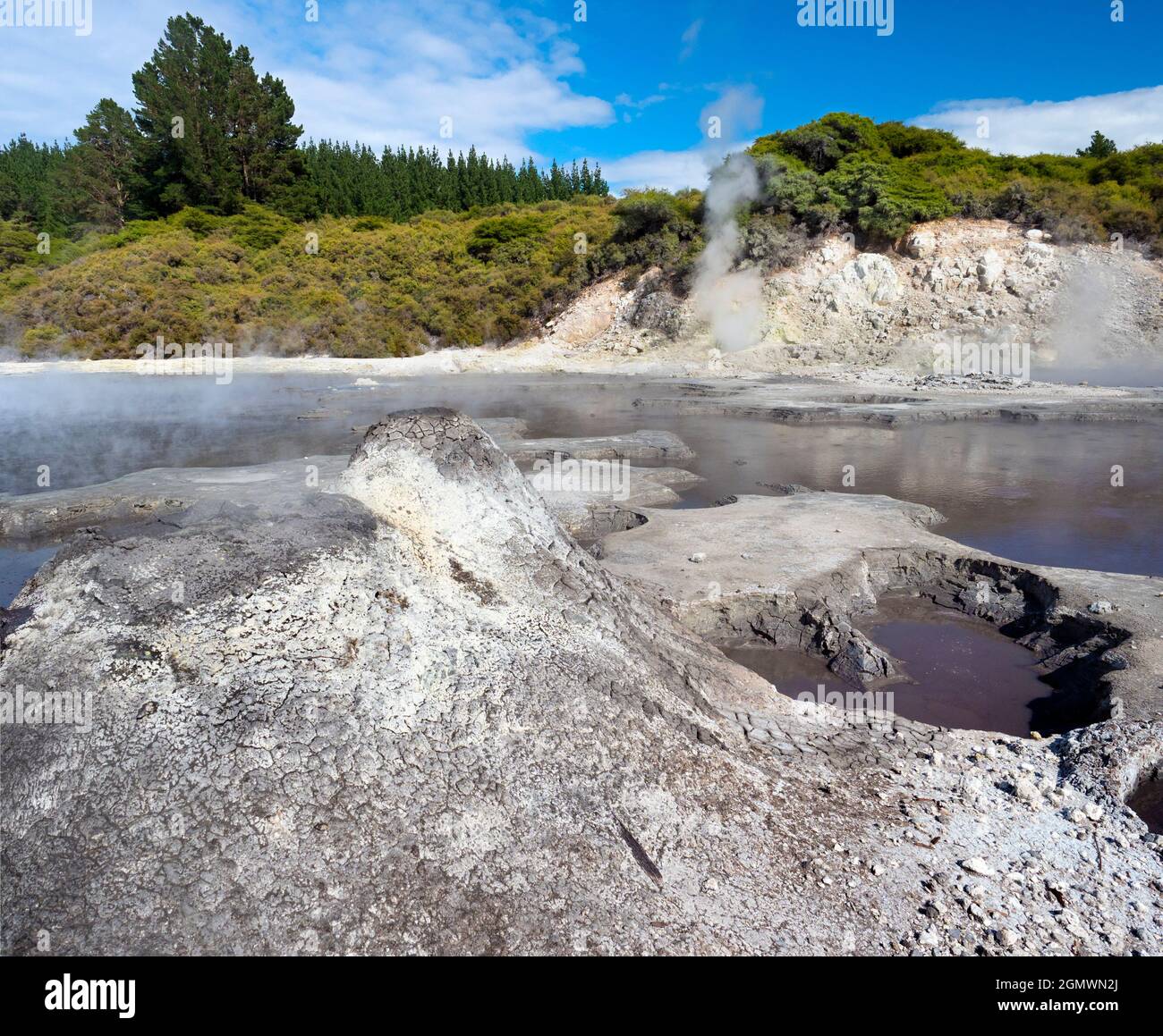 Rotorua, Neuseeland - 1. März 2019; Rotorua auf der neuseeländischen Nordinsel ist ein ausgedehntes Gebiet mit geothermischen Quellen, kochenden Schlammquellen und Su Stockfoto