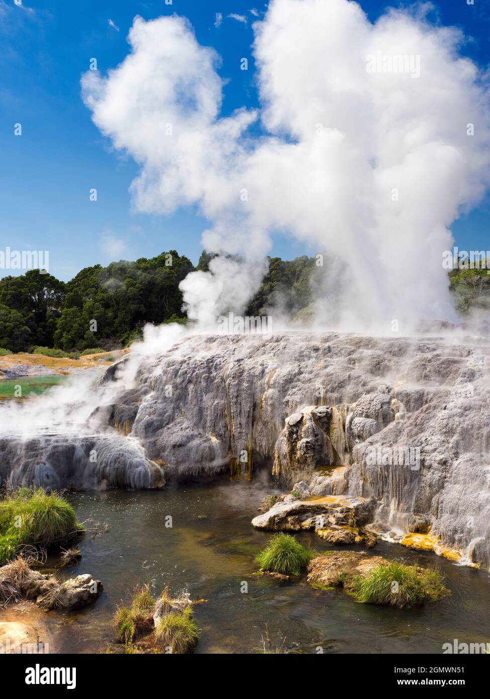 Rotorua, Neuseeland - 1. März 2019; Rotorua auf der neuseeländischen Nordinsel ist ein ausgedehntes Gebiet mit geothermischen Quellen, kochenden Schlammquellen und Su Stockfoto