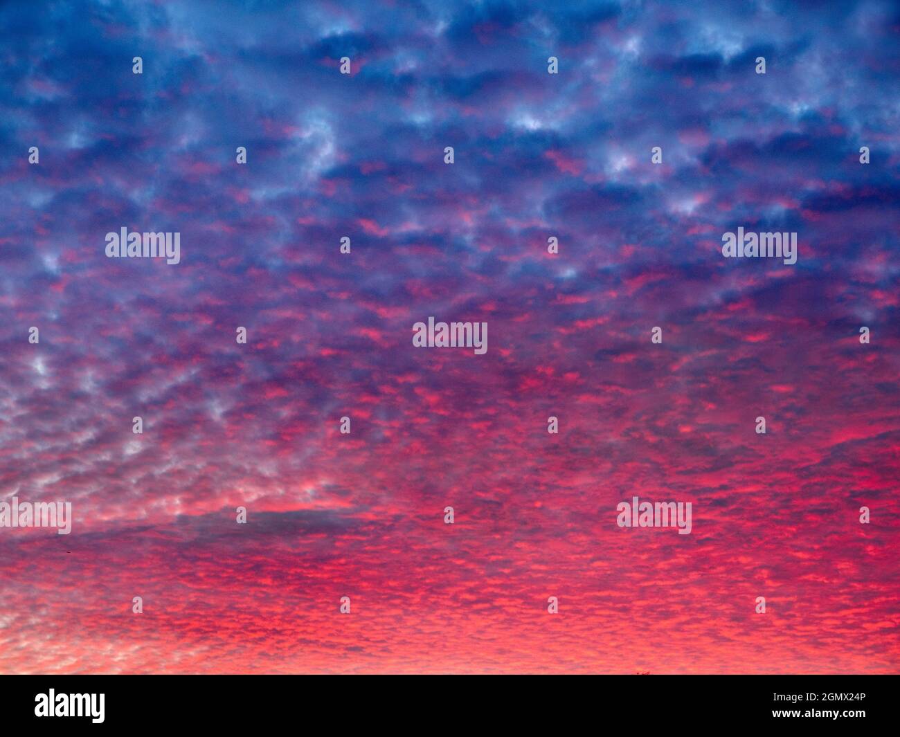 Radley, Oxfordshire England - 17. November 2017 Wenn Sie im ländlichen Oxfordshire leben, müssen Sie manchmal nicht irgendwo hin, um die Aufnahme zu erhalten. Diese Surr Stockfoto