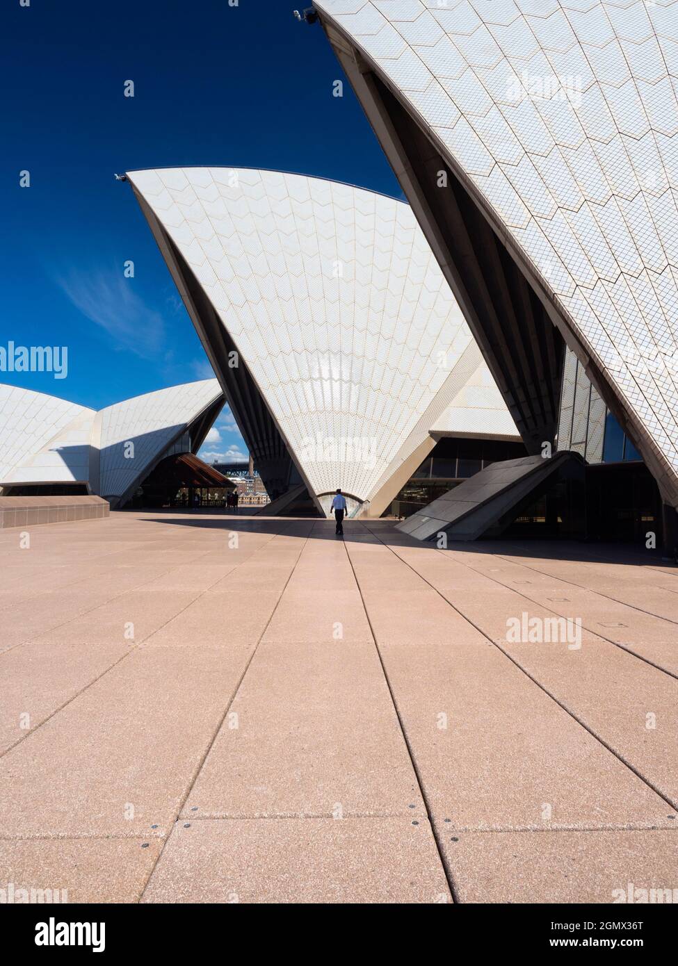 Sydney, Australien - 16/17. Februar 2109; ein Laufmännchen in Schuss. Das 1973 eröffnete Opernhaus von Sydney wurde zu einem der ikonischen Gebäude der Stockfoto