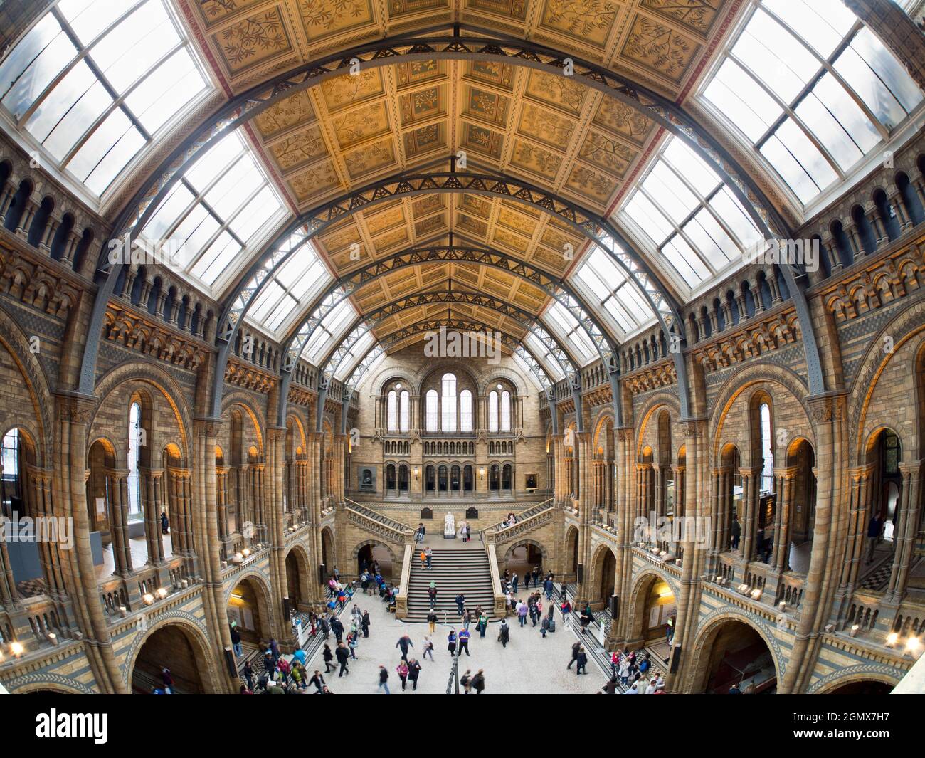 London, England - 2013; das Natural History Museum in London ist ein großes und sehr geliebtes Naturkundemuseum, das eine große Auswahl an Exemplaren ausstellt Stockfoto