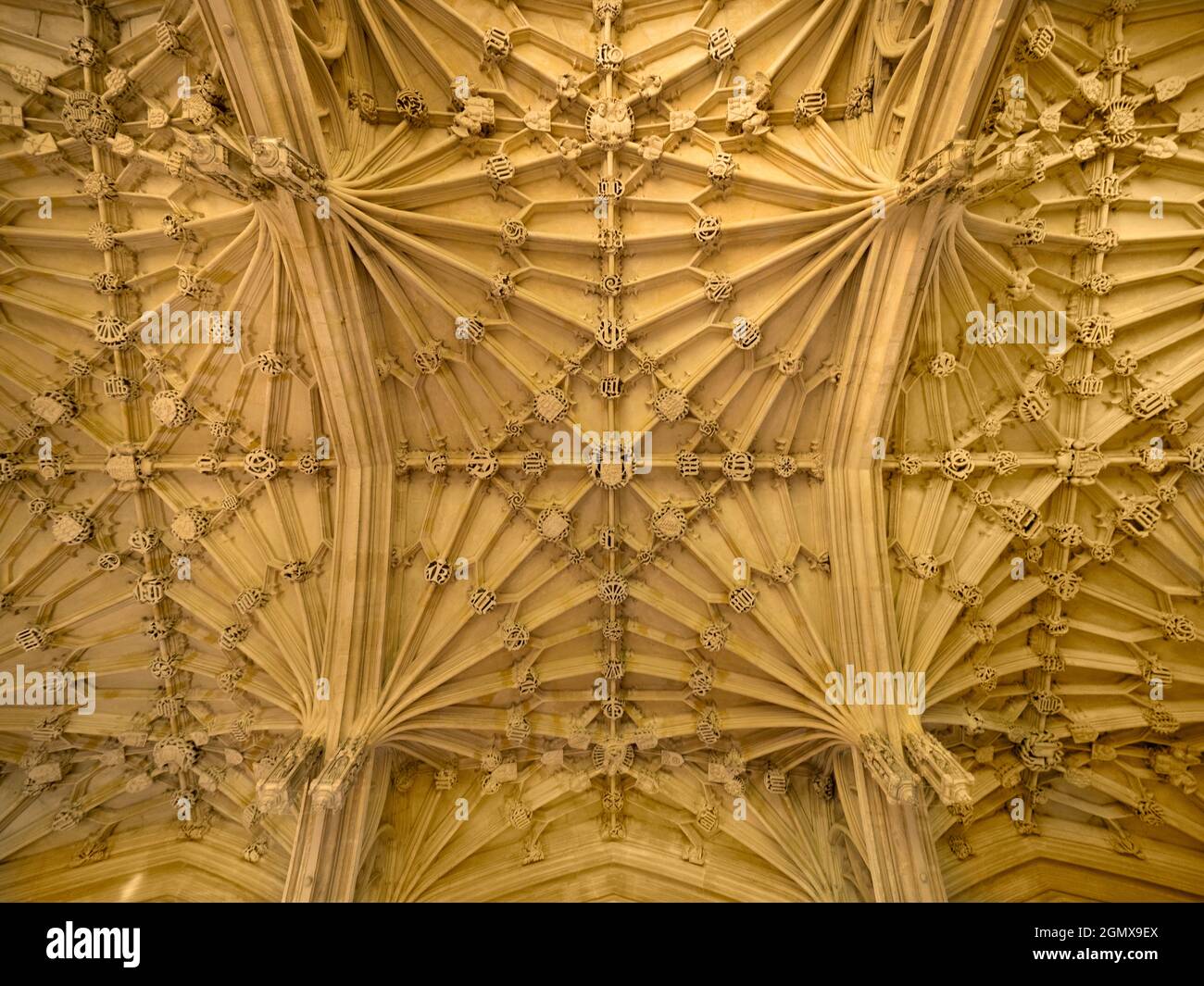 In der Divinity School der Bodleian Library der Oxford University, England. Dieser berühmte mittelalterliche Raum ist mit einer kunstvoll geschnitzten Decke geschmückt Stockfoto