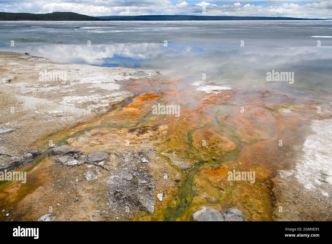 Yellowstone National Park, Wyoming - 2008. Mai; Es ist Mai, und der riesige Yellowstone Lake beginnt erst aufzutauen. Eis, Wasser und geothermischer Stea Stockfoto