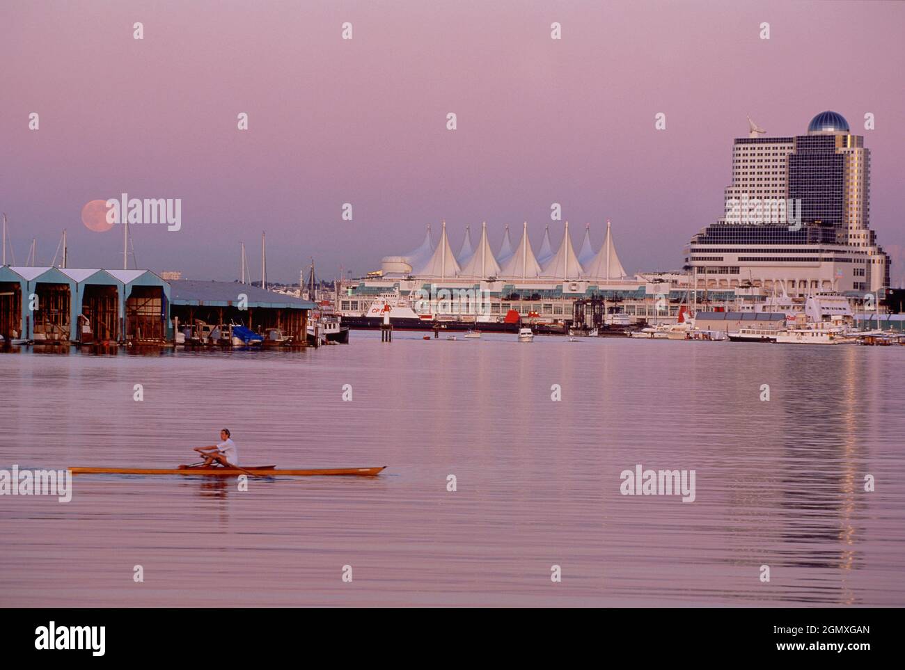 Kanada. British Columbia. Vancouver. Am Wasser mit einmundem Skuller. Stockfoto