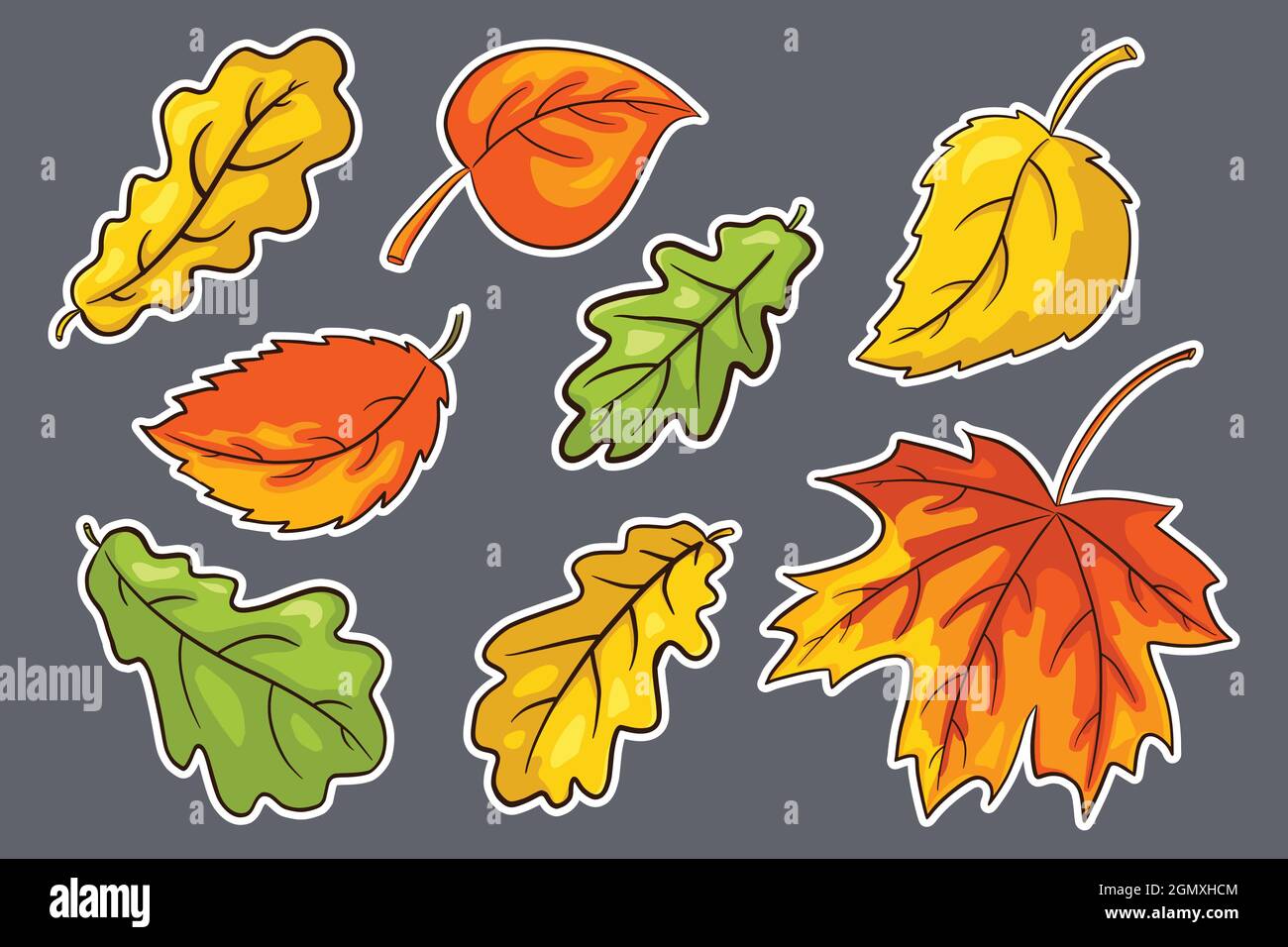 Handgezeichnetes Sticker-Set Für Herbstblätter. Sammlung von Waldlaub. Eiche, Ahorn und Haselnussblatt. Herbst-Deko-Elemente für Druck-, Einladungskarten- und Grußkarten-Design und -Dekoration. Premium Vector Stock Vektor