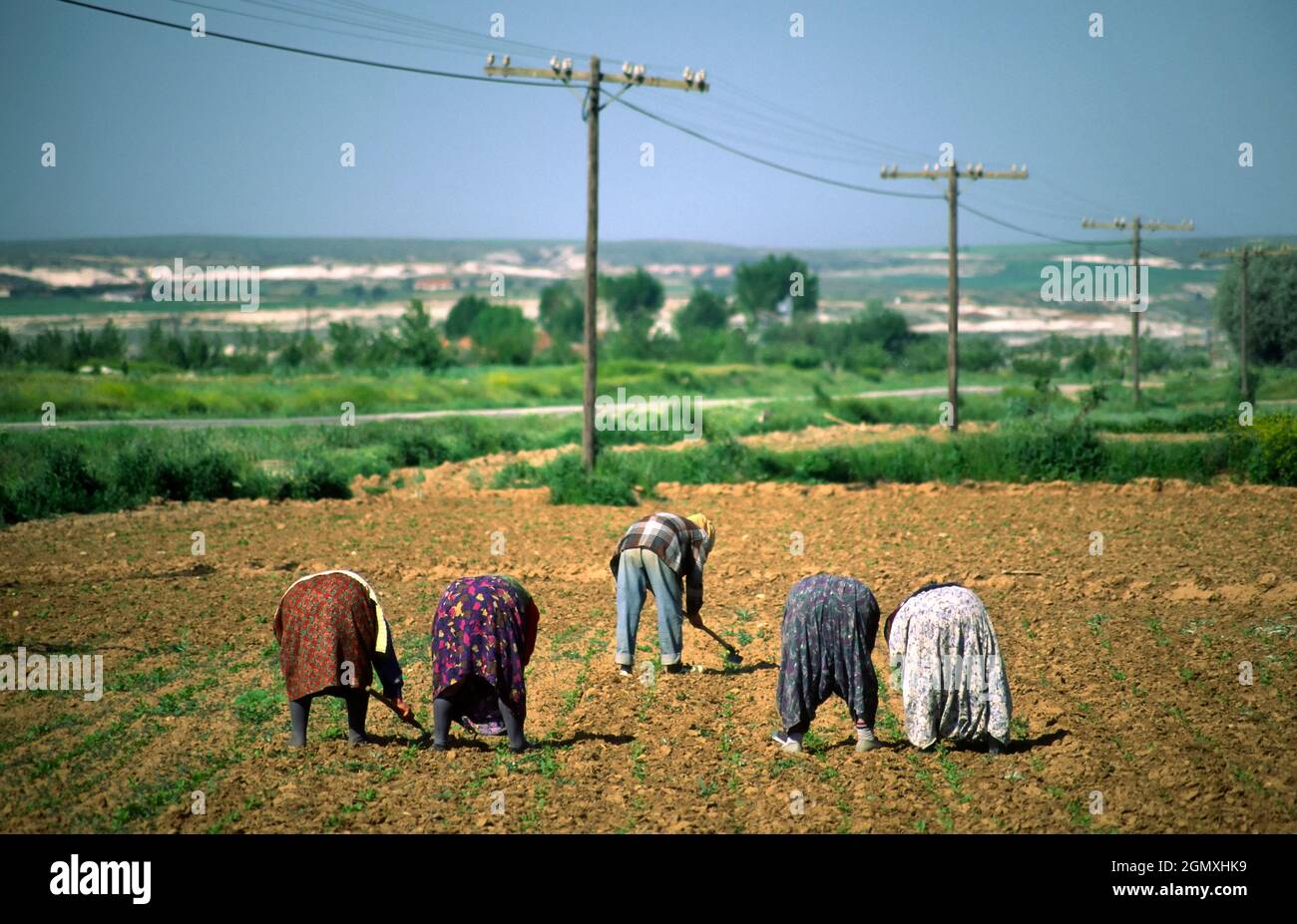 Capadoccia, Türkei - Juni 2003; eine zeitlose Szene landwirtschaftlicher Arbeit in der antiken Provinz Anatolien, Türkei. Gedreht in der Nähe von Goreme, Capadoccia. Stockfoto